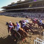 2026 San Diego Handicap at a Glance